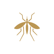 bed bugs pest control treatment