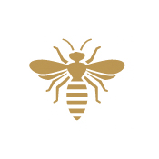 bed bugs pest control treatment