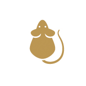 bed bugs pest control treatment