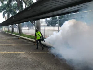 pest control services provider