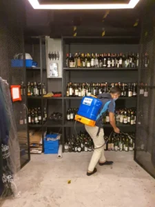 pest control services provider