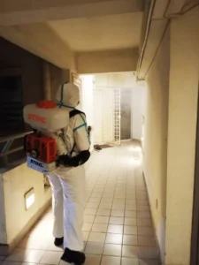 pest control services provider