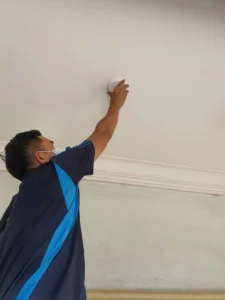pest control services provider