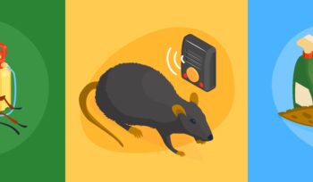 pest control services company