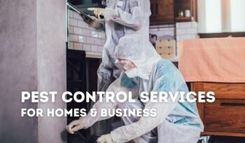 pest control services being conducted