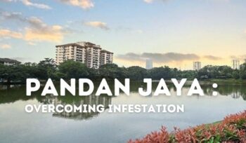 landscape view of pandan jaya