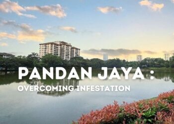 landscape view of pandan jaya
