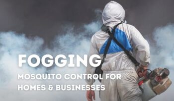 pes control fogging for homes & businesses
