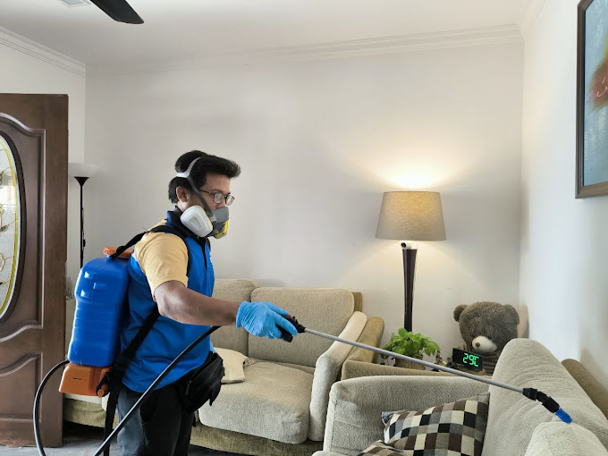 pest professional spraying insecticides