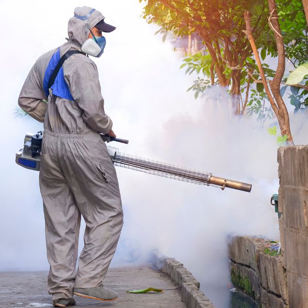 fogging for mosquito control