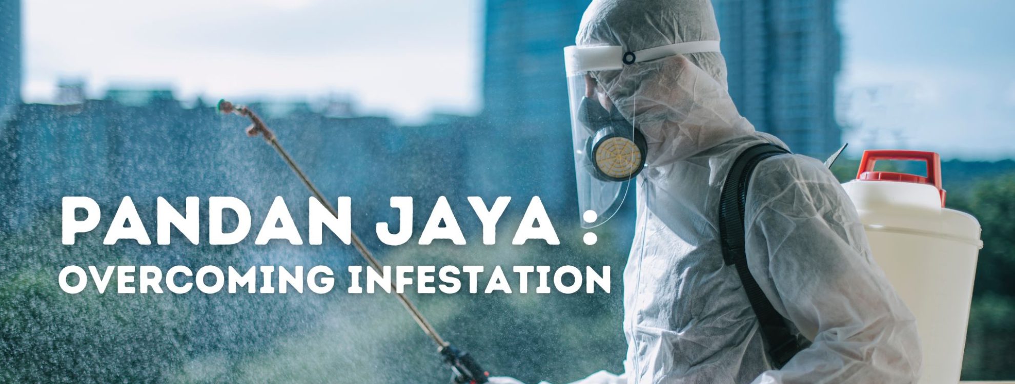 KEP THE RATS AWAY (1920 x 1080 px) (4) spraying pesticides in pandan jaya in efforts of overcoming infestation