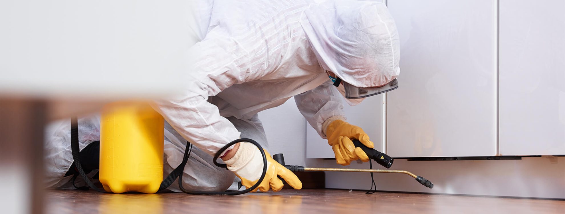 PEST CONTROL pest control professional spraying insecticides